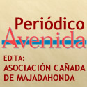 Periodico Avenida